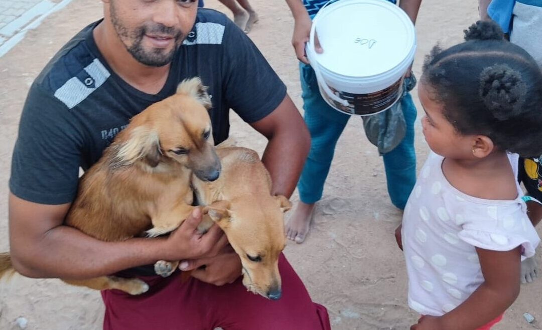 Graafwater Sterilisation Campaign – March 2024