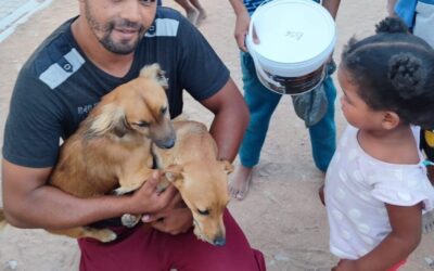 Graafwater Sterilisation Campaign – March 2024