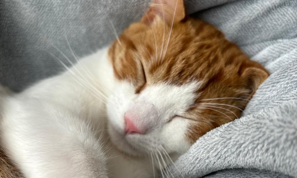 Pablo