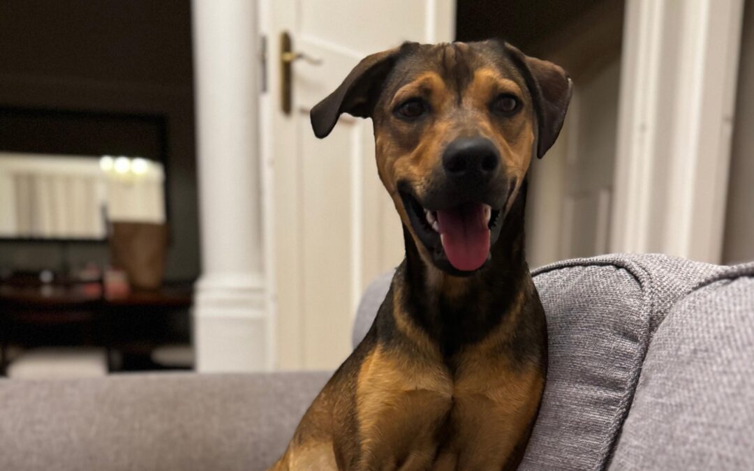 Max